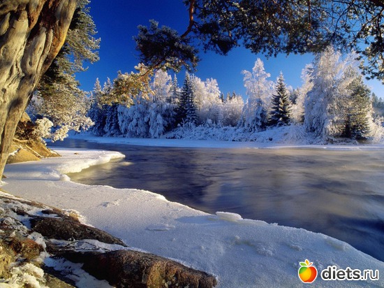 7 ����: ����...