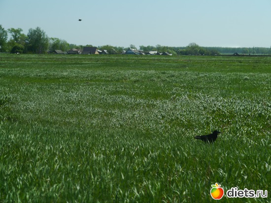 ���� 2012 - ������ � ������� �� ����, ����..), ������: ������� ��� �����..))