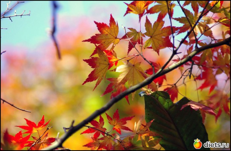 30 ����: �����...