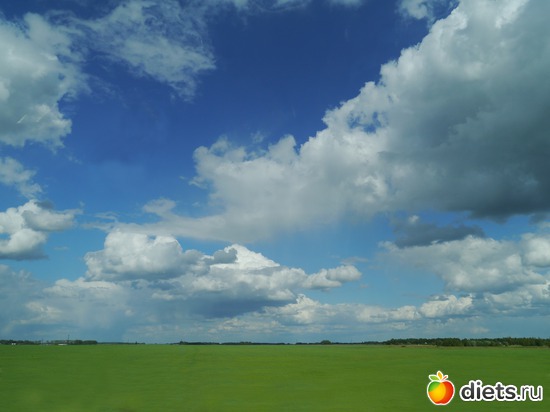 ���� 2012 - ���-�� �� ������ �� ����� ������..), ������: ������� ��� �����..))