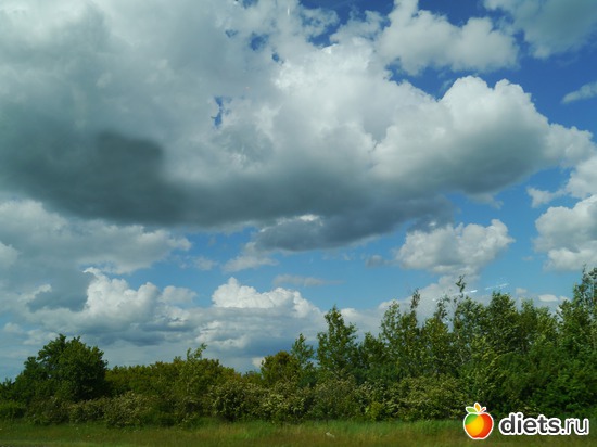 ���� 2012 - ���-�� �� ������ �� ����� ������..), ������: ������� ��� �����..))