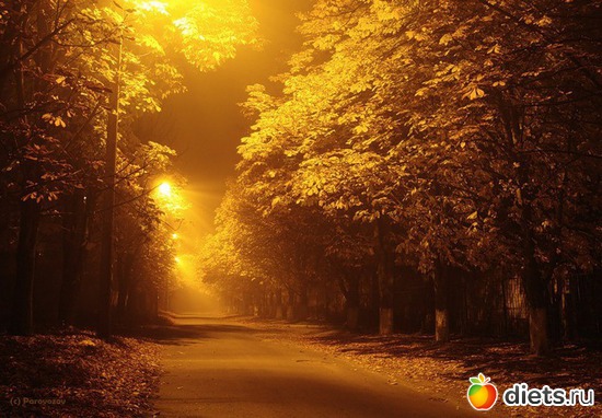 34 ����: �����...