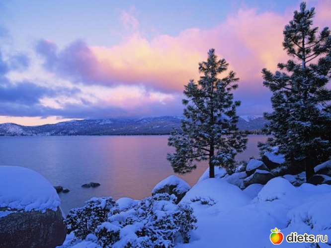 8 ����: ����...