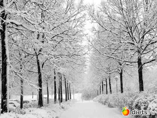 12 ����: ����...