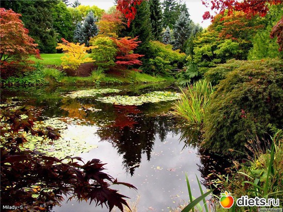 35 ����: �����...