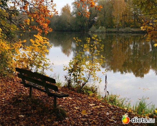 36 ����: �����...