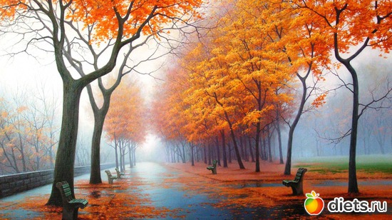 38 ����: �����...