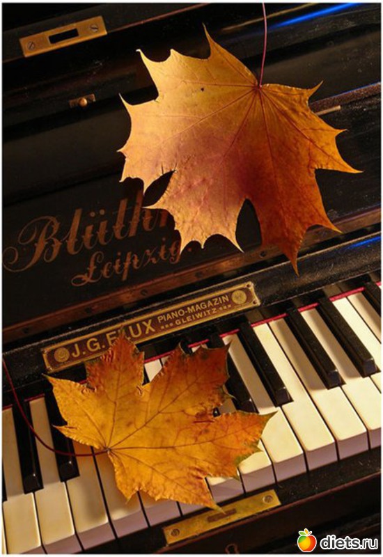 39 ����: �����...