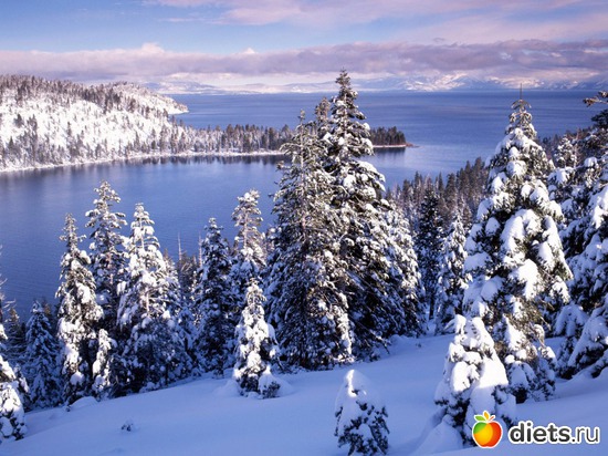 16 ����: ����...