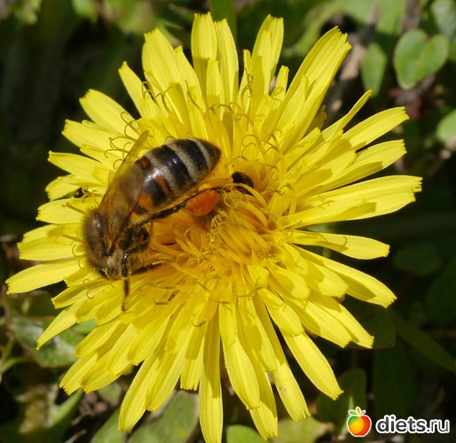 ���� 2012 - ������..), ������: ������� ��� �����..))