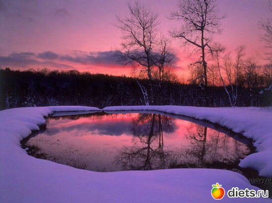 21 ����: ����...