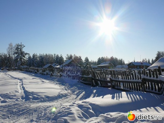 23 ����: ����...