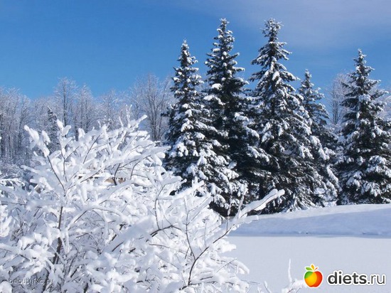 26 ����: ����...