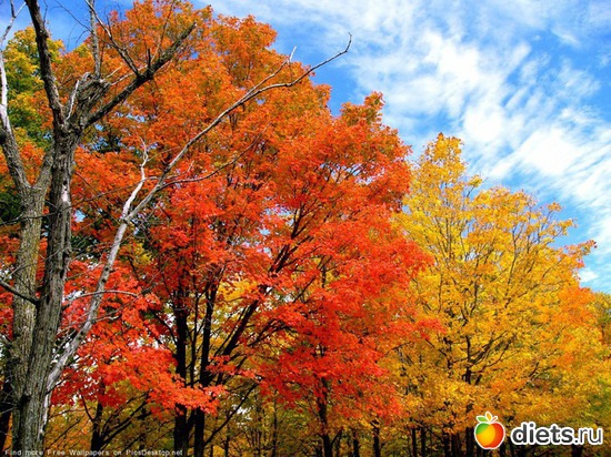 42 ����: �����...