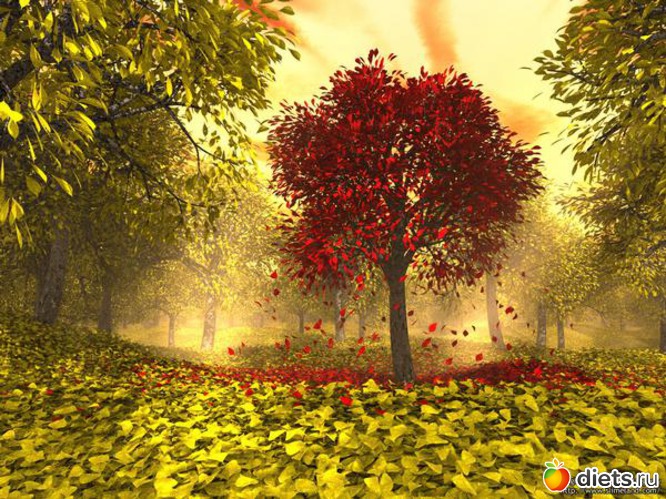 43 ����: �����...