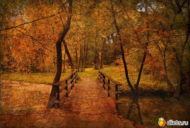 44 ����: �����...