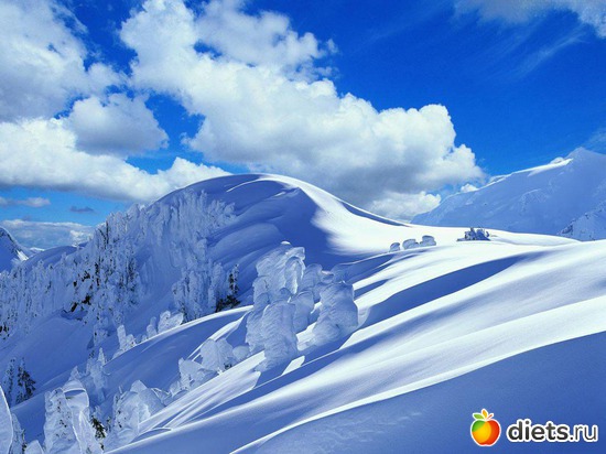 31 ����: ����...