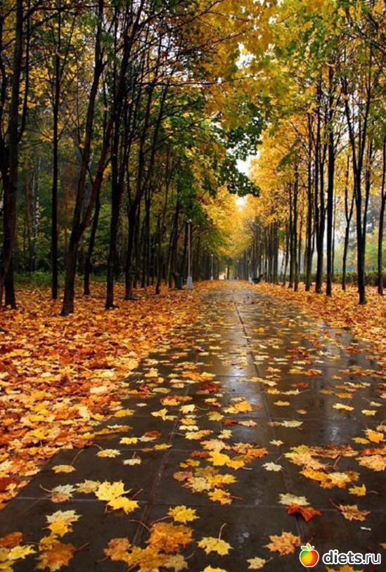 45 ����: �����...