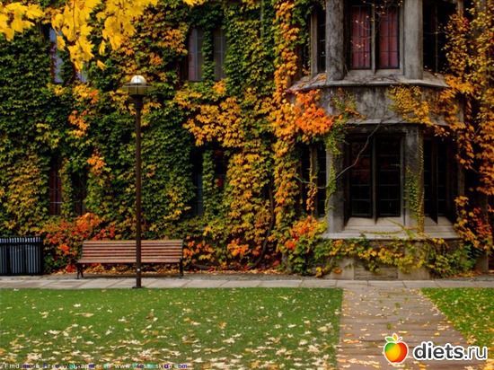 46 ����: �����...