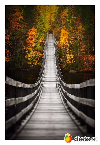 47 ����: �����...