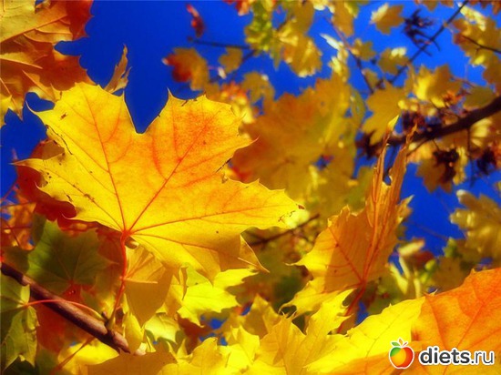 48 ����: �����...