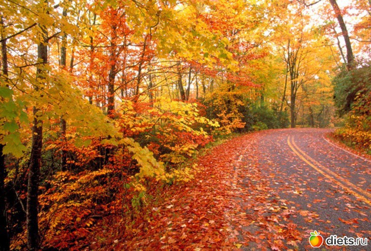 49 ����: �����...