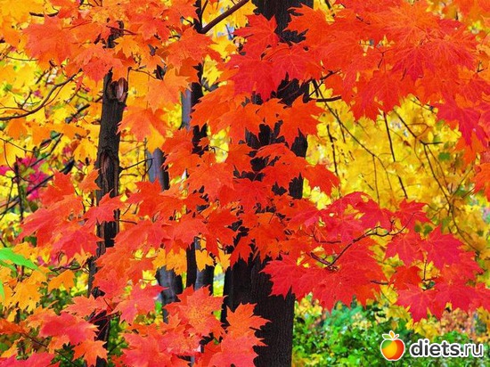 50 ����: �����...