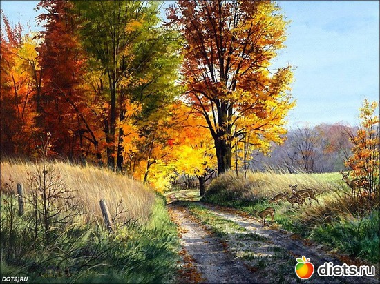 51 ����: �����...