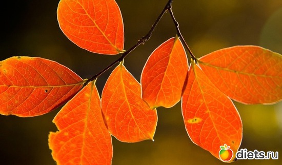 53 ����: �����...