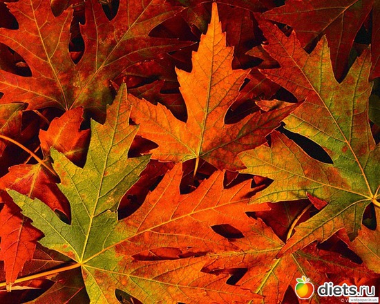 54 ����: �����...