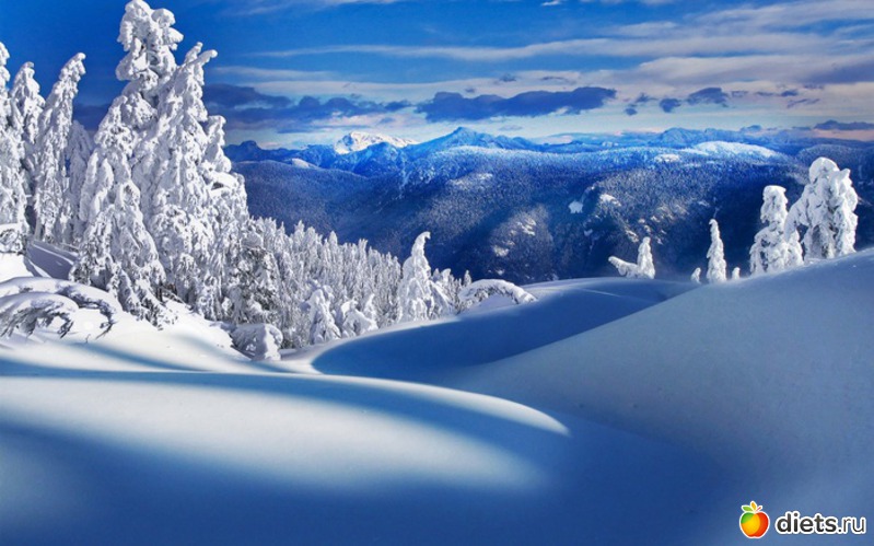 35 ����: ����...