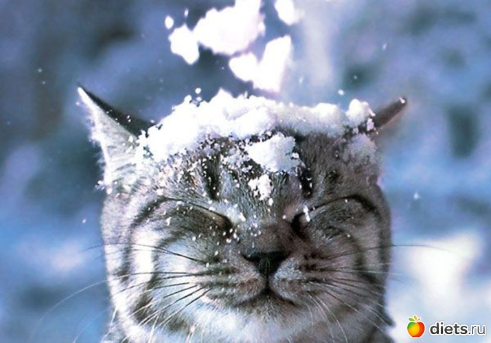 38 ����: ����...