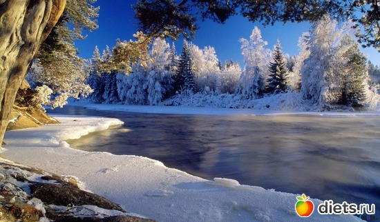 39 ����: ����...