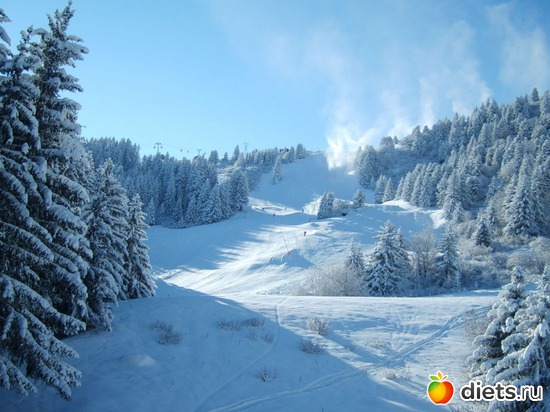 40 ����: ����...