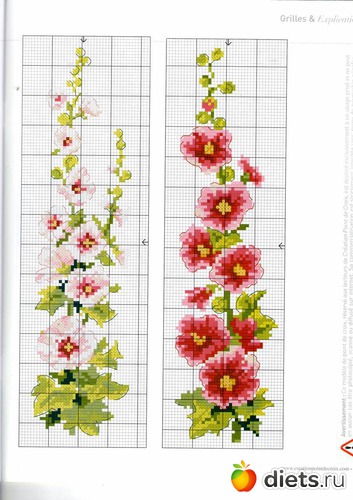 7 ����: �������