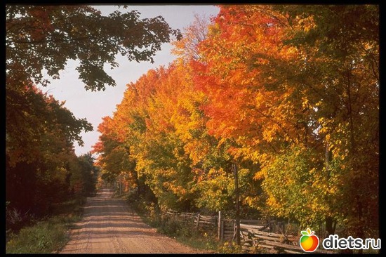 57 ����: �����...