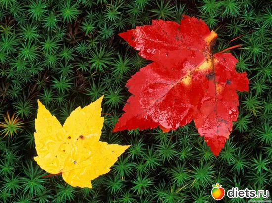 58 ����: �����...