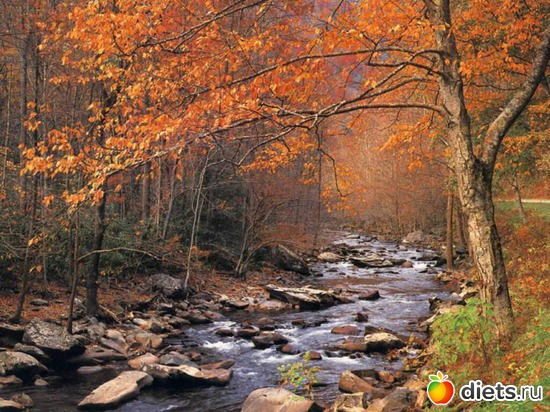 59 ����: �����...