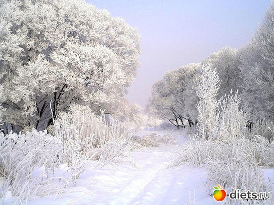 44 ����: ����...