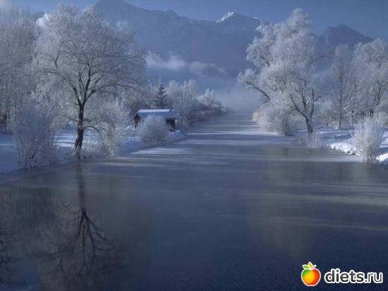 45 ����: ����...