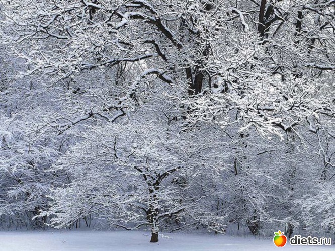 46 ����: ����...