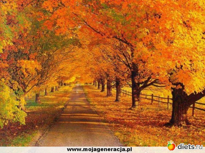 63 ����: �����...