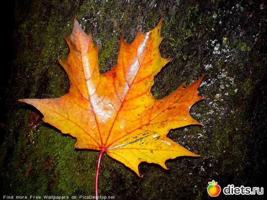 67 ����: �����...