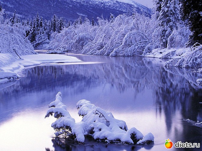 51 ����: ����...