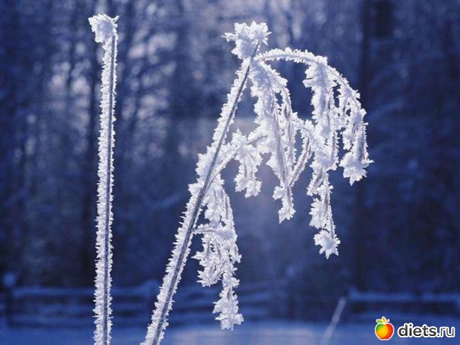 52 ����: ����...