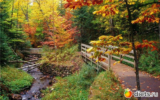 68 ����: �����...