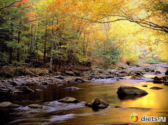 71 ����: �����...