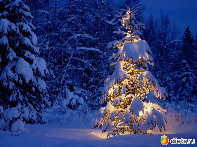 53 ����: ����...