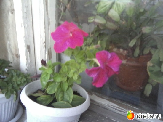 2 ����: ����� � ���� ����.