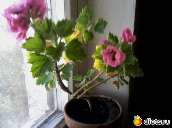 3 ����: ����� � ���� ����.